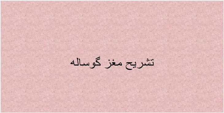 دانلود پاورپوینت تشریح مغز گوساله