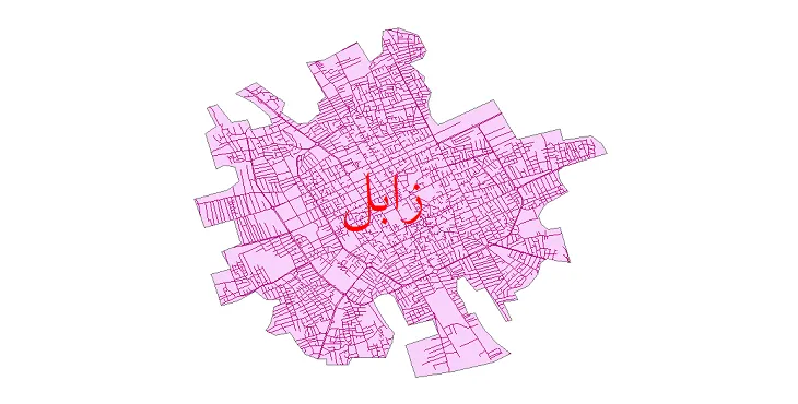 دانلود نقشه شیپ فایل شبکه معابر شهر زابل