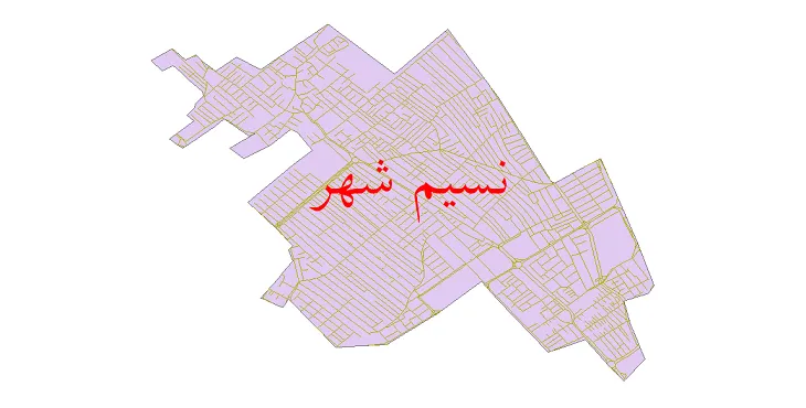 دانلود نقشه شیپ فایل شبکه معابر شهر نسیم شهر
