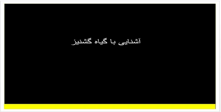 دانلود پاورپوینت آشنایی با گیاه گشنیز