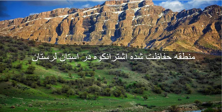 دانلود پاورپوینت مناطق حفاظت شده استان لرستان 